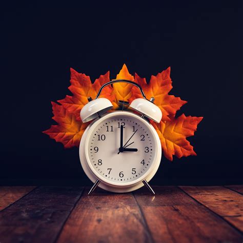 Download wallpaper 2780x2780 clock, alarm clock, leaves, tree, autumn ...