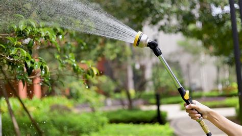 WATERING WANDS – FANHAO