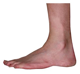 word choice - Is the "ankle" on both sides of the foot? - English ...
