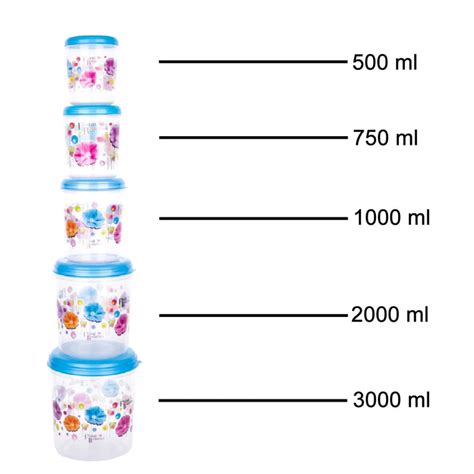 2446 Plastic Transparent Container Air Tight Dabba — DeoDap
