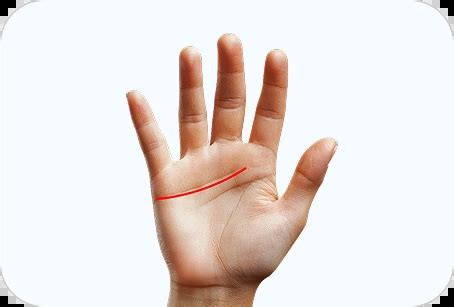 Get Personalized Palmistry Reading online on Astro Real App