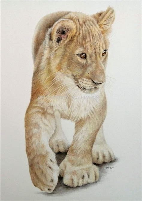 Image result for Alien Reunion Autoflower