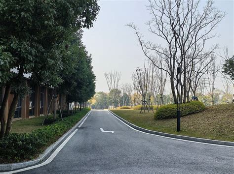 DOUBLETREE BY HILTON JIANGXI FUZHOU - Hotel Reviews, Photos, Rate ...
