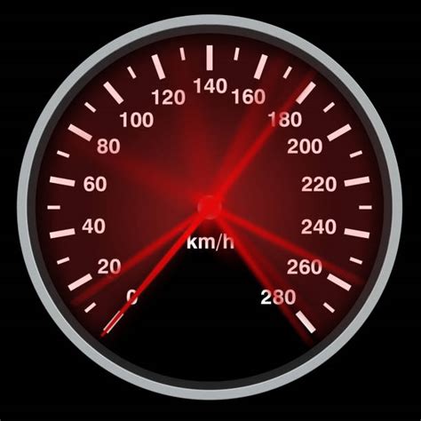 Image result for Alert Program Speedo