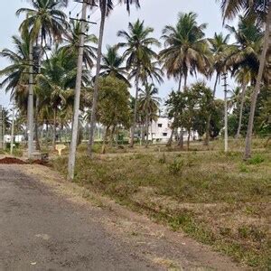 Plots for Sale in Mysore - 54+ Residential Land / Plots for sale in Mysore
