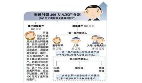 遗产继承比例示意图,财产继承顺序及分配图,8头身比例示意图(第3页)_大山谷图库