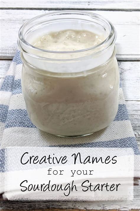 100+ Creative Names for Your Sourdough Starter
