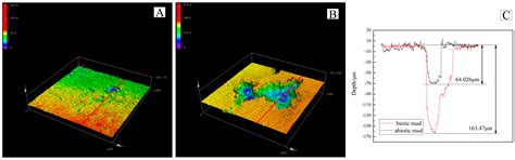 Corrosion of an AZ31B Magnesium Alloy by Sulfate-Reducing Prokaryotes ...