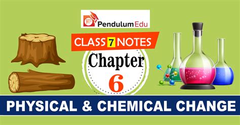 Image result for 7 Grade Science Chapter 6 Lesson 3 Notes Answers
