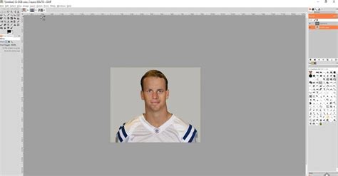 Face Swap Using GIMP 的图像结果