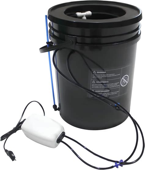 Dlinanta DWC Hydroponics Grow System, 5 Gallon Deep Water India | Ubuy
