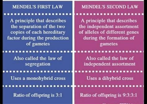 what is the difference between law of segregation and law of ...