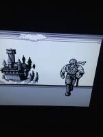 spin winner freecash for referrals,and understanding the game mechanics