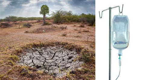 Farmer From Madhya Pradesh Uses Waste Glucose Bottles For Drip Irrigat