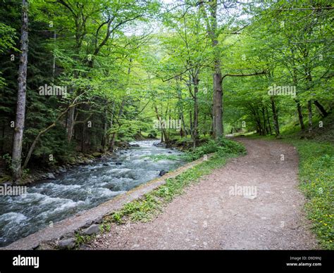 Mineral water park in Borjomi, Georgia Stock Photo - Alamy