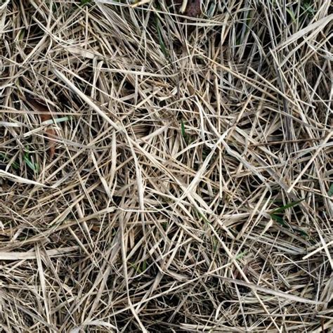 Histogram-Preserving Tiling | Benedikt Bitterli's Portfolio