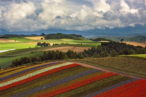日本 的图像结果