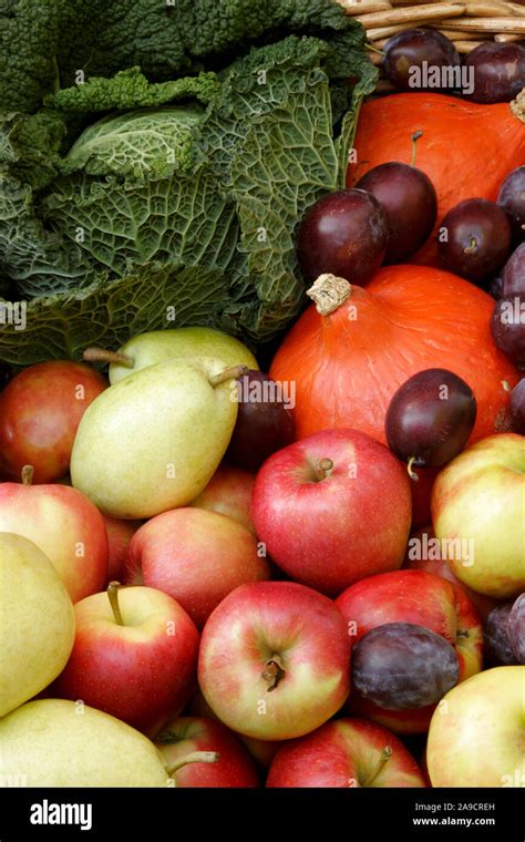 Health Food 的图像结果