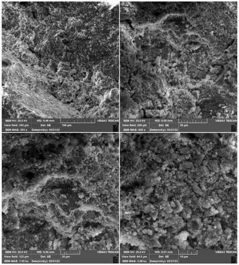 Biomaterial-Assisted Self-Healing for Crack Reduction in High ...