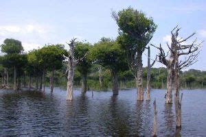 Jau Tourism (2025) Brazil - Best Places to Visit in Jau, Jau Travel ...