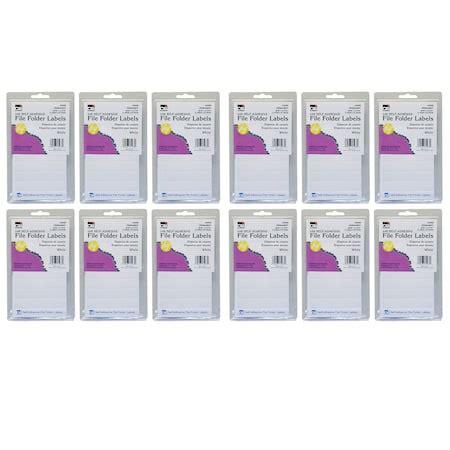 Charles Leonard File Folder Labels, White, PK2976 45235 | Zoro