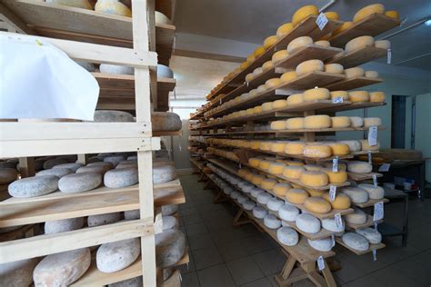 Image result for Ancient Cheese Factory