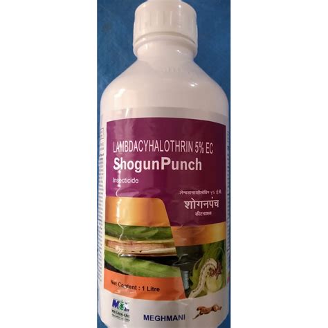 MEGHMANI - SHOGUN PUNCH