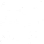 CrzApes white background Meme Generator - Imgflip