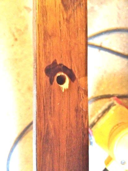 Image result for Table Extensions Mechanism