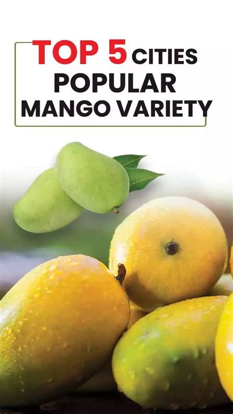 Top 5 Mango Variety in India - Types of Mangoes