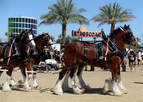 What to expect at Stagecoach 2025: country roots, pop surprises & big ...