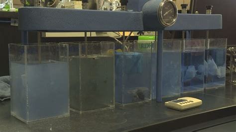 "Flushable" wipes can cause serious sewer and pipe damage