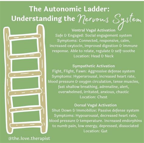 Image result for Autonomic Ladder