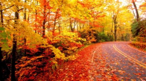[200+] Seasonal Wallpapers | Wallpapers.com