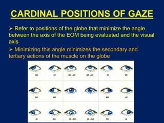 Image result for Include CSS File in HTML