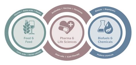 Bioprocess introduction - Eppendorf Deutschland