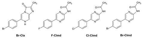 Combined Experimental and Theoretical Investigation into the ...