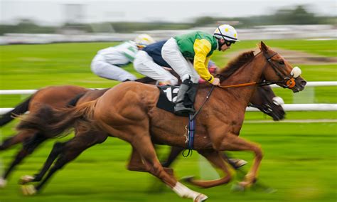 How Fast Do Race Horses Run On Average? A Simple Guide