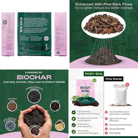 10 Best Peat-Free Potting Mixes for Eco-Friendly Planting in 2025 ...