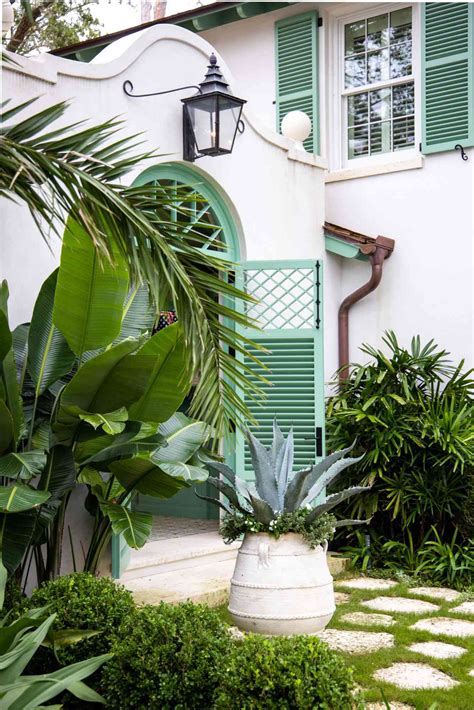 Outdoor Tropical Plants For Containers