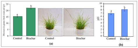 Biochar-Assisted Phytostabilization for Potentially Toxic Element ...