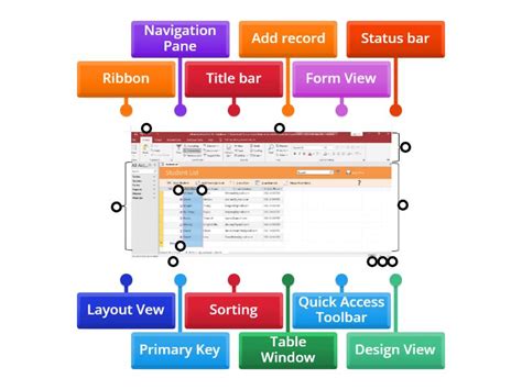 Image result for MS Access Window Image with Example