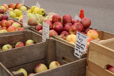 Chicken Scratch: Art | The Review