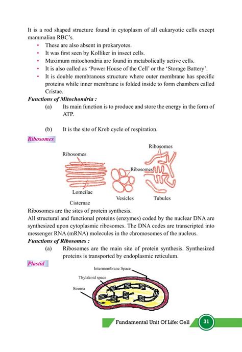 Image result for Class 9th Science Chapter 5 Cell Explanation