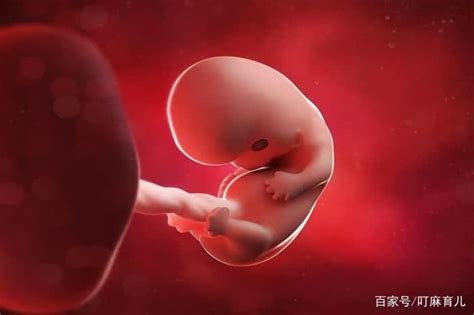 怀孕12周3个月B超，胎儿在动，惊喜不断！_腾讯视频