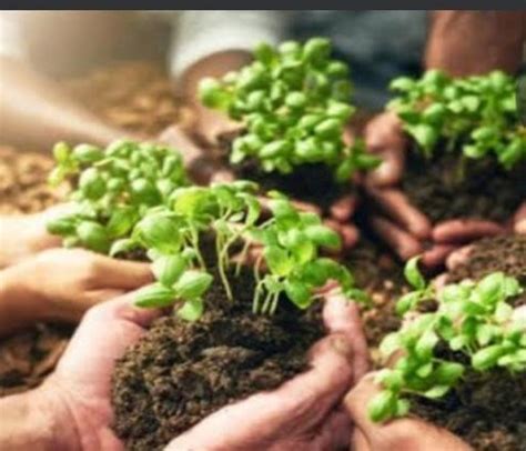 21. Give geographical reasons for the following: Need for soil ...