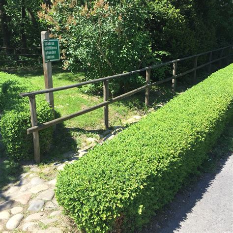 THE BEST Places to Visit in Bad Wünnenberg (2026)