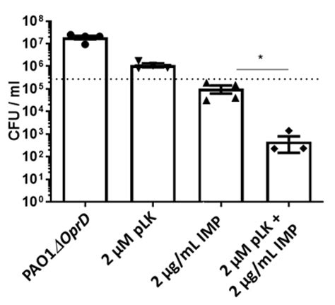 Poly-L-Lysine to Fight Antibiotic Resistances of Pseudomonas aeruginosa