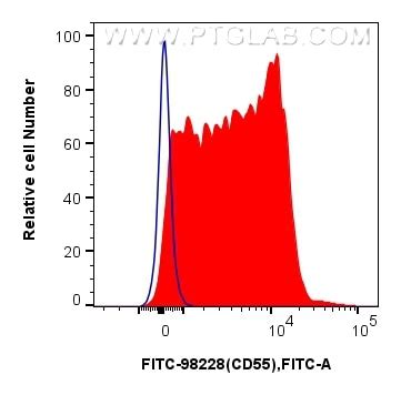 CD55 antibody (FITC-98228) | Proteintech