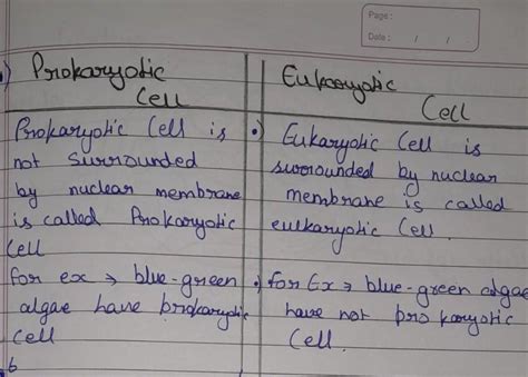 2.4 prokaryotic and eukaryotic cells - Brainly.in